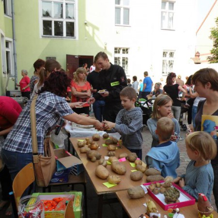 Wyświetl org. rozmiar