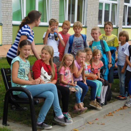 Wyświetl org. rozmiar