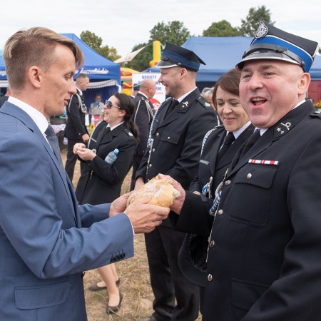 Wyświetl org. rozmiar