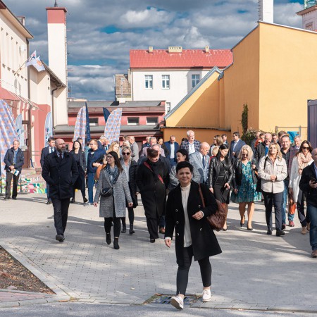Wyświetl org. rozmiar