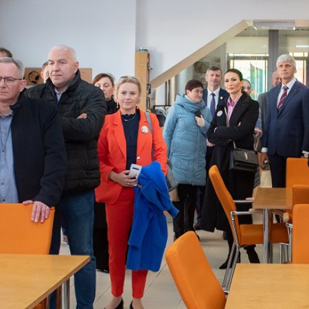 Wyświetl org. rozmiar