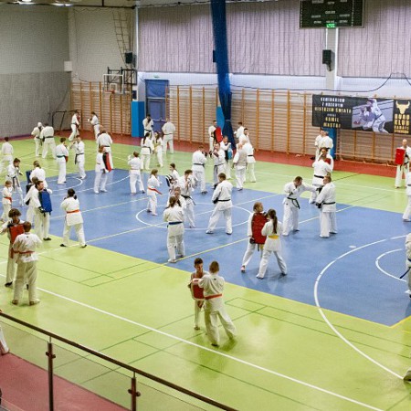 Wyświetl org. rozmiar