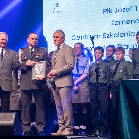 Wyświetl org. rozmiar