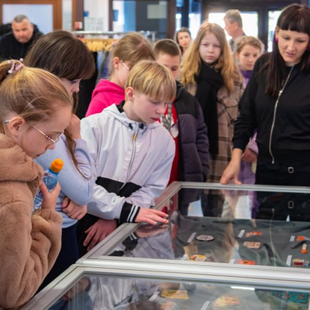Wyświetl org. rozmiar