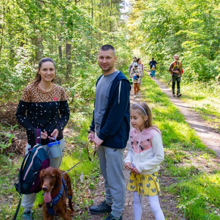 Wyświetl org. rozmiar