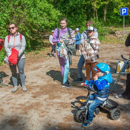 Wyświetl org. rozmiar