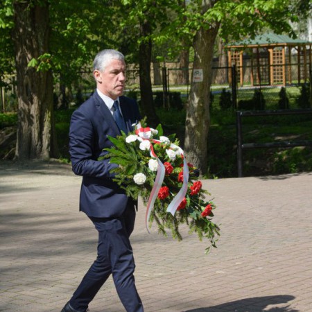 Wyświetl org. rozmiar