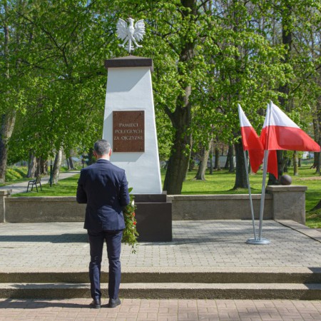 Wyświetl org. rozmiar