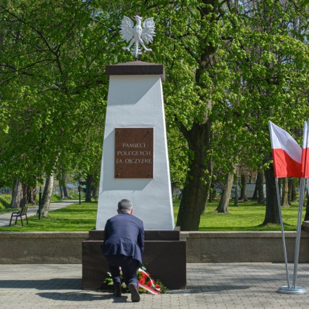 Wyświetl org. rozmiar