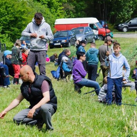 Wyświetl org. rozmiar