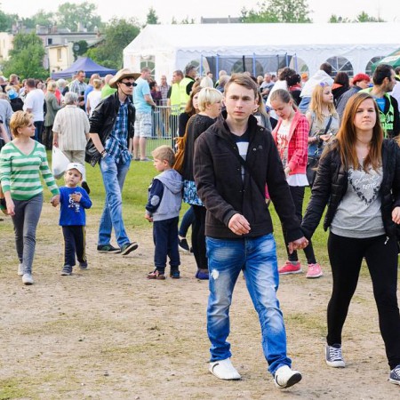 Wyświetl org. rozmiar