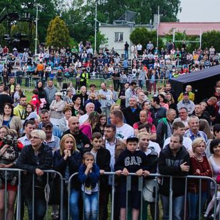 Wyświetl org. rozmiar