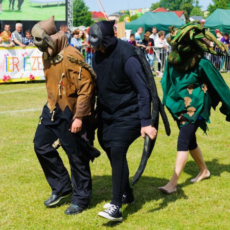 Wyświetl org. rozmiar
