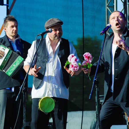 Wyświetl org. rozmiar