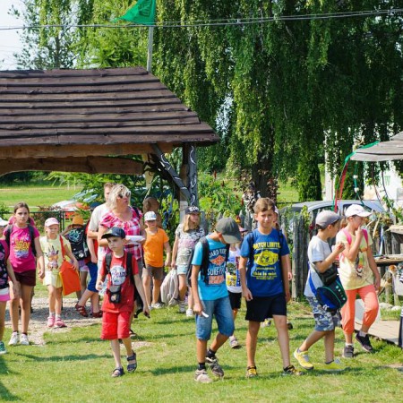 Wyświetl org. rozmiar