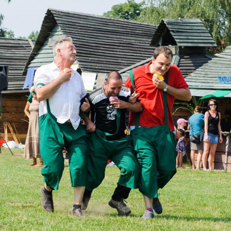 Wyświetl org. rozmiar
