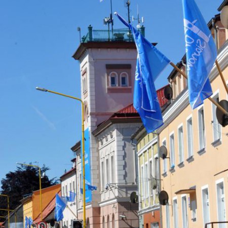 Wyświetl org. rozmiar