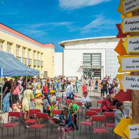 Wyświetl org. rozmiar