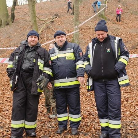 Wyświetl org. rozmiar