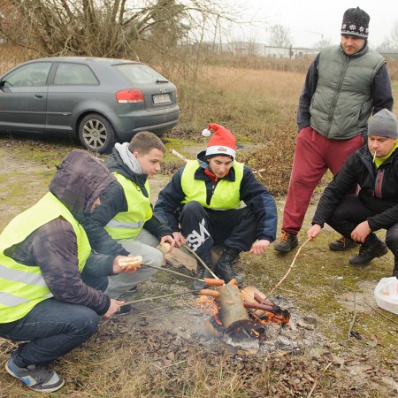 Wyświetl org. rozmiar