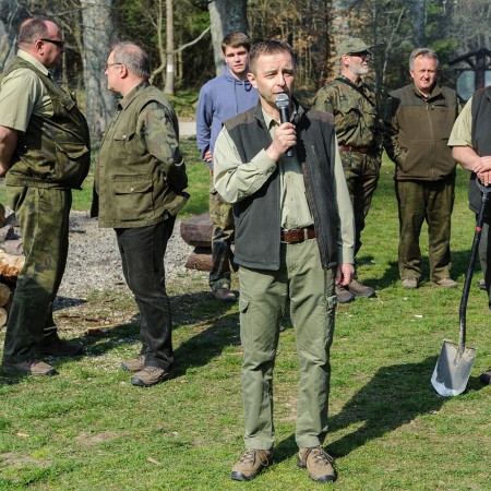 Wyświetl org. rozmiar