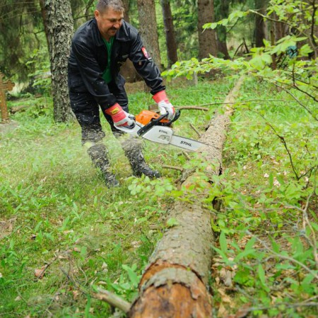 Wyświetl org. rozmiar