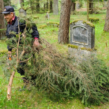 Wyświetl org. rozmiar