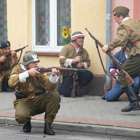Wyświetl org. rozmiar