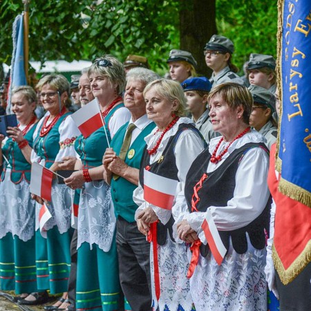 Wyświetl org. rozmiar