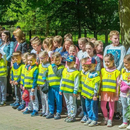Wyświetl org. rozmiar