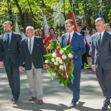 Wyświetl org. rozmiar