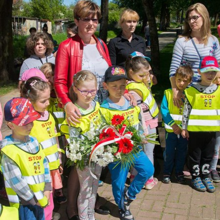 Wyświetl org. rozmiar
