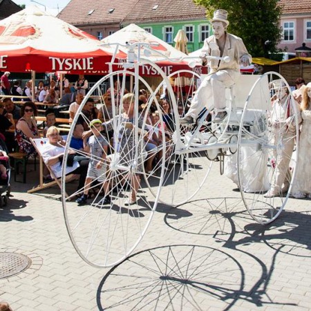 Wyświetl org. rozmiar