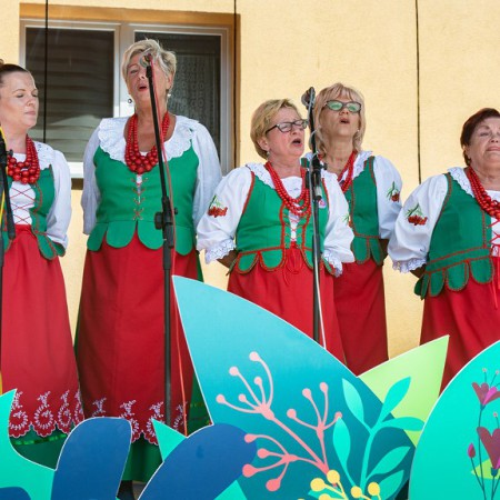 Wyświetl org. rozmiar