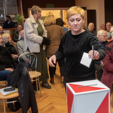 Wyświetl org. rozmiar