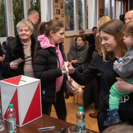 Wyświetl org. rozmiar