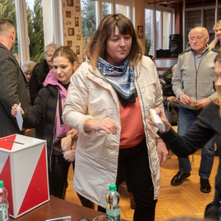 Wyświetl org. rozmiar